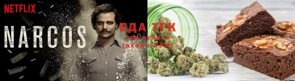 прущие грибы Богданович