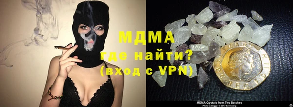 прущие грибы Богданович