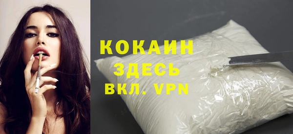 прущие грибы Богданович
