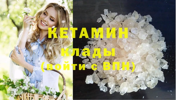 прущие грибы Богданович