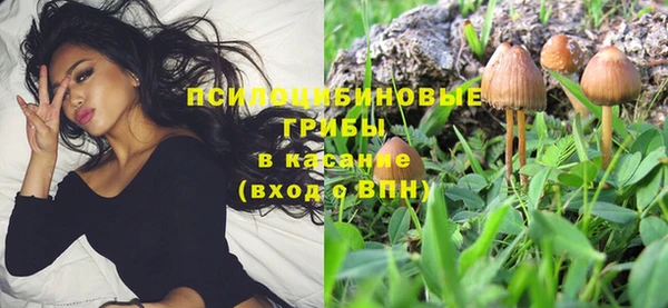 герыч Богородск