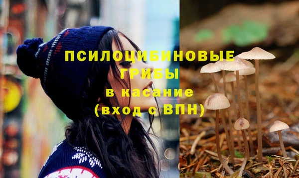 герыч Богородск
