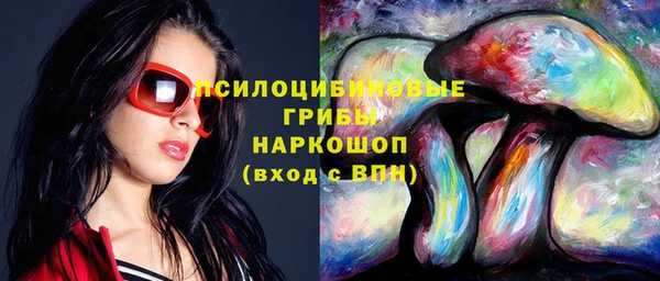 прущие грибы Богданович