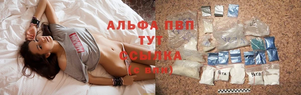 прущие грибы Богданович