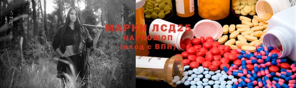 прущие грибы Богданович