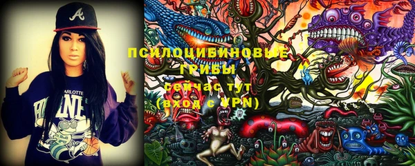 дурь Богородицк