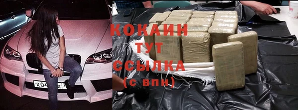 прущие грибы Богданович